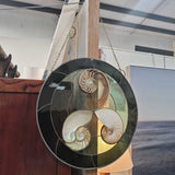 Stained Glass w/Shells