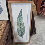 Framed Teal Leaf Print - II