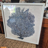 Blue Sea Fan Print - White Frame